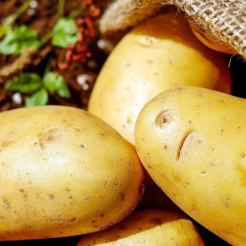 Cómo hacer patatas revolconas: receta fácil paso a paso :: Redmond :: NEWSEUM